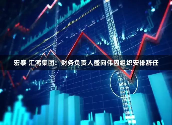 宏泰 汇鸿集团：财务负责人盛向伟因组织安排辞任