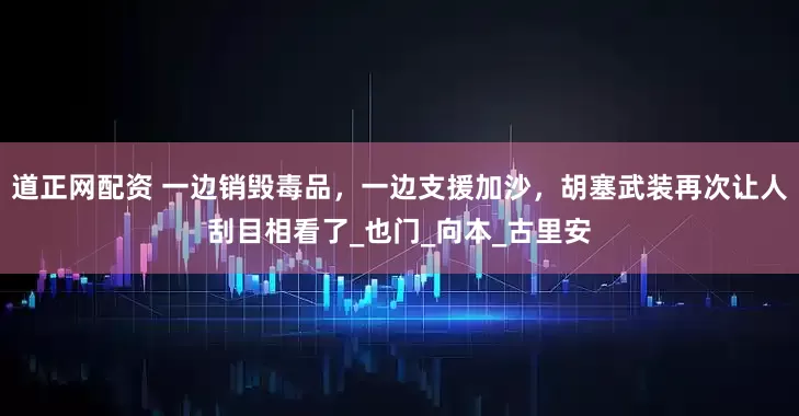 道正网配资 一边销毁毒品，一边支援加沙，胡塞武装再次让人刮目相看了_也门_向本_古里安