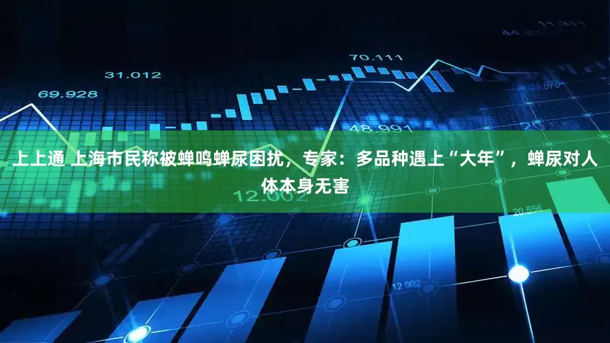 上上通 上海市民称被蝉鸣蝉尿困扰，专家：多品种遇上“大年”，蝉尿对人体本身无害