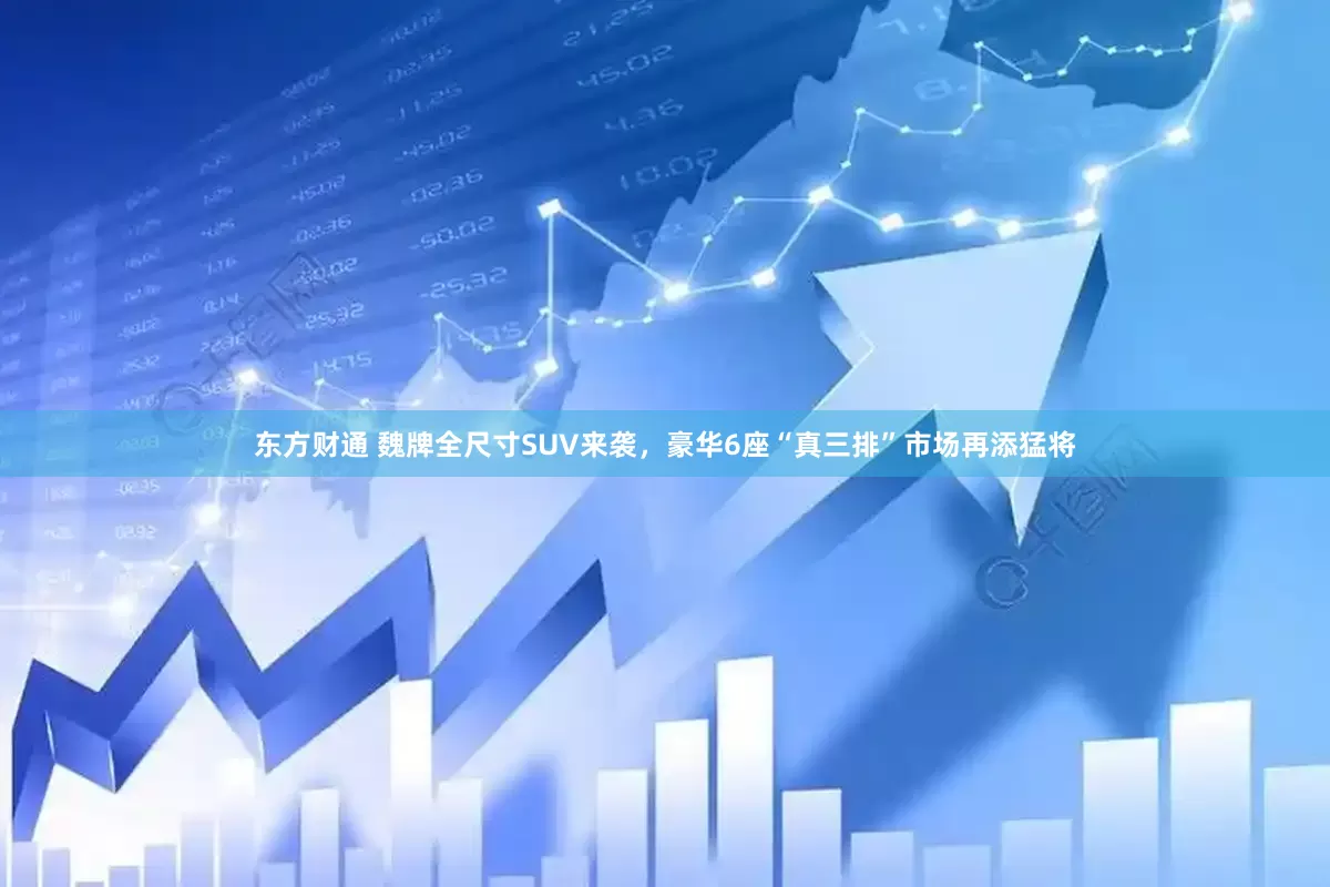 东方财通 魏牌全尺寸SUV来袭，豪华6座“真三排”市场再添猛将