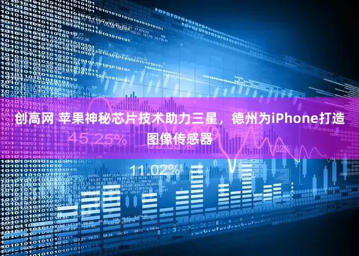创高网 苹果神秘芯片技术助力三星，德州为iPhone打造图像传感器