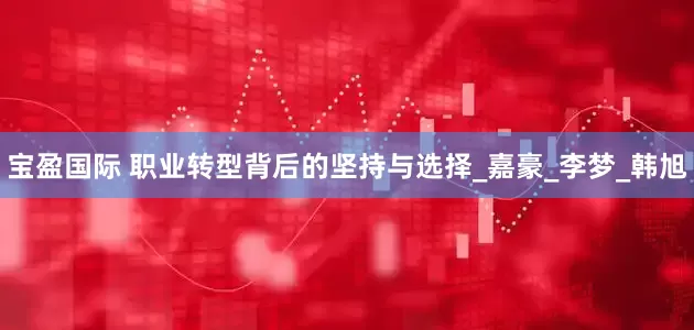 宝盈国际 职业转型背后的坚持与选择_嘉豪_李梦_韩旭