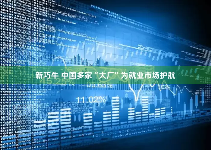 新巧牛 中国多家“大厂”为就业市场护航